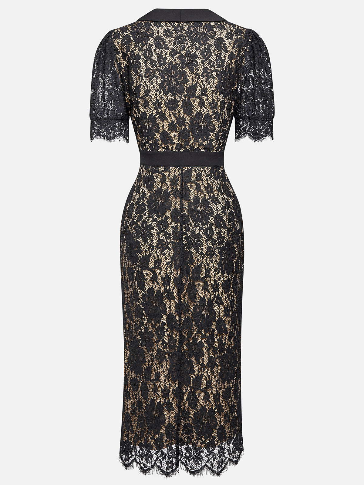 Black Buckle Lace Shawl Collar Short Sleeve Puff Sleeve Sheath Midi Dress
