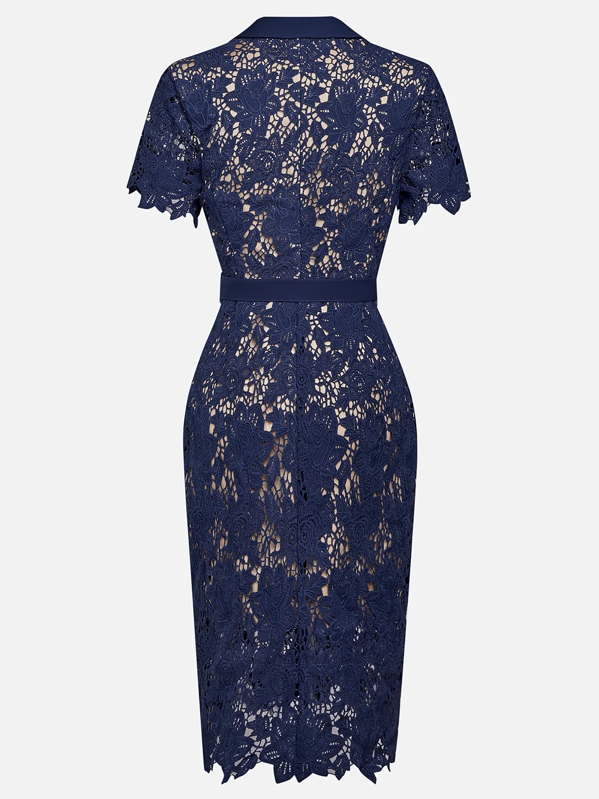 Royal Blue Buckle Lace Lapel Collar Short Sleeve Sheath Midi Dress