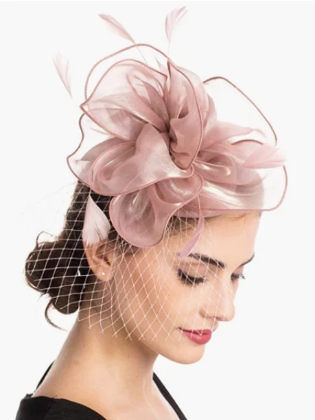 Elegant Feather Mesh Design Hat