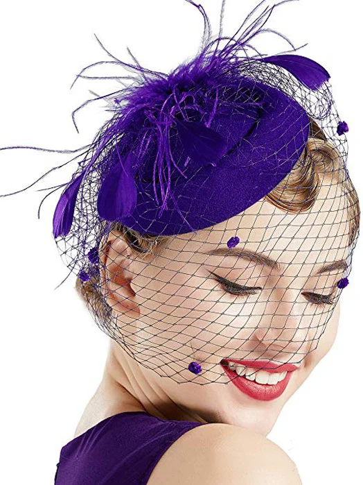 Elegant Feather Mesh Design Hat