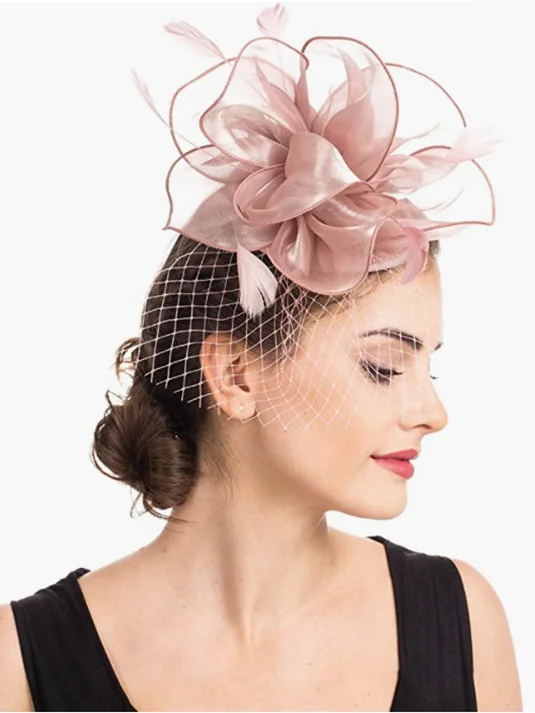 Elegant Feather Mesh Design Hat