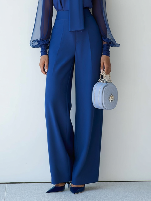 Women Royal Blue Mesh Bow Tie Neck Long Sleeve Dressy Jumpsuit