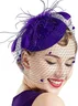Elegant Feather Mesh Design Hat