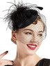 Elegant Feather Mesh Design Hat